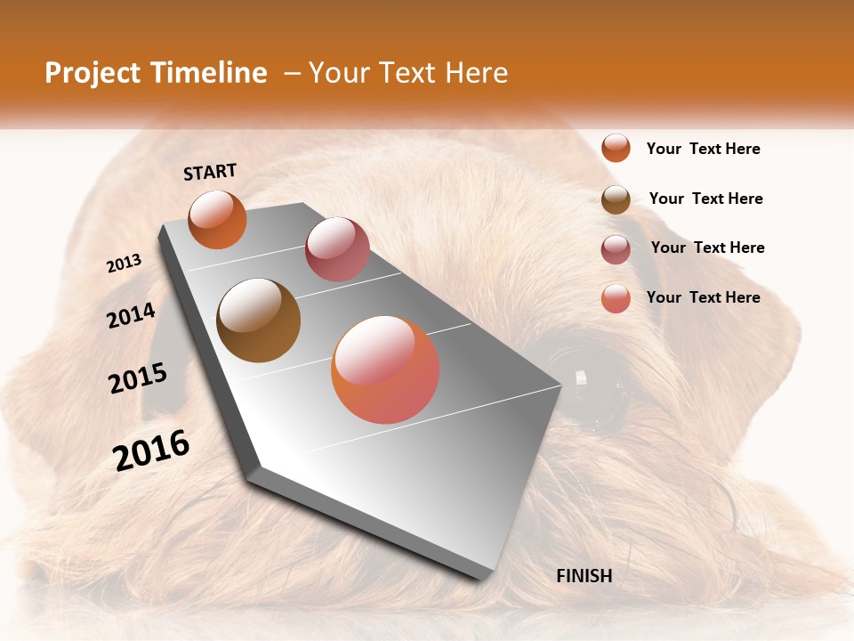 A Small Brown Dog Laying On Top Of A White Floor PowerPoint Template
