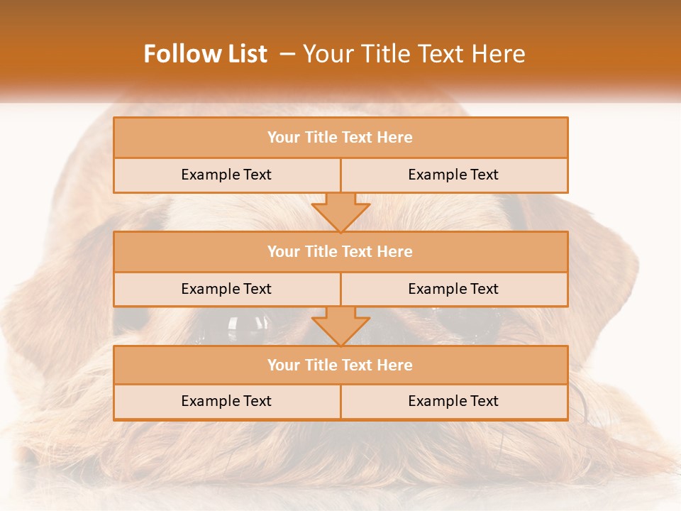 A Small Brown Dog Laying On Top Of A White Floor PowerPoint Template