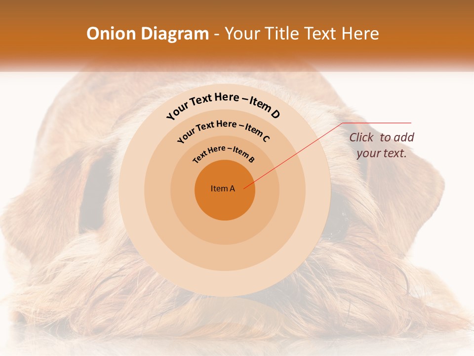 A Small Brown Dog Laying On Top Of A White Floor PowerPoint Template