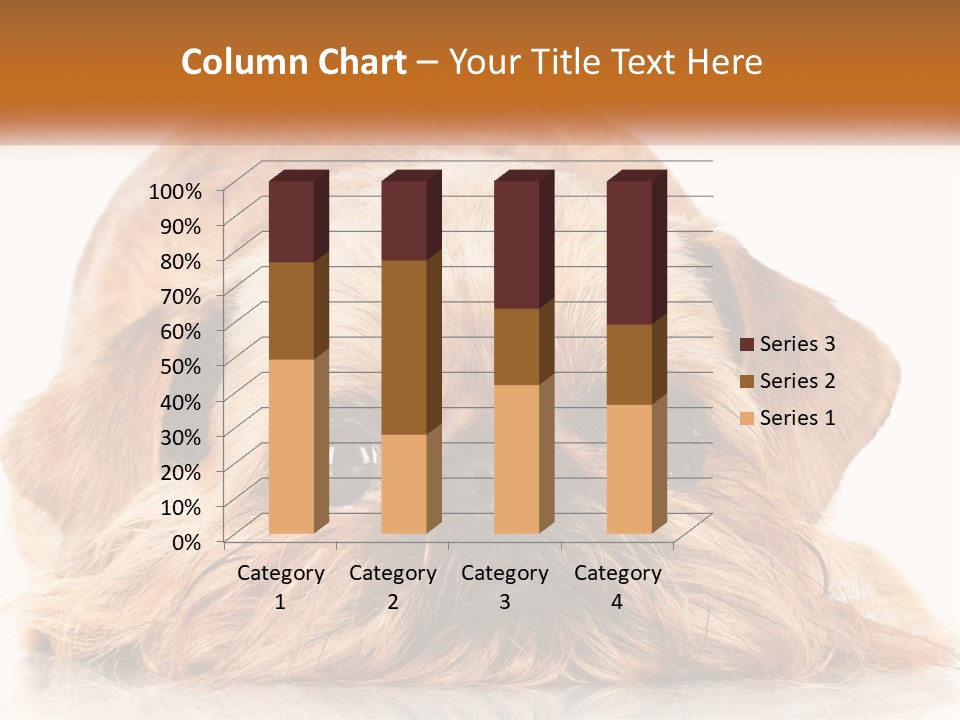 A Small Brown Dog Laying On Top Of A White Floor PowerPoint Template