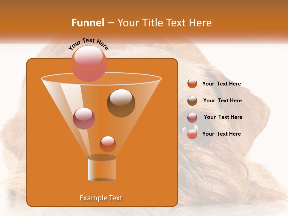 A Small Brown Dog Laying On Top Of A White Floor PowerPoint Template