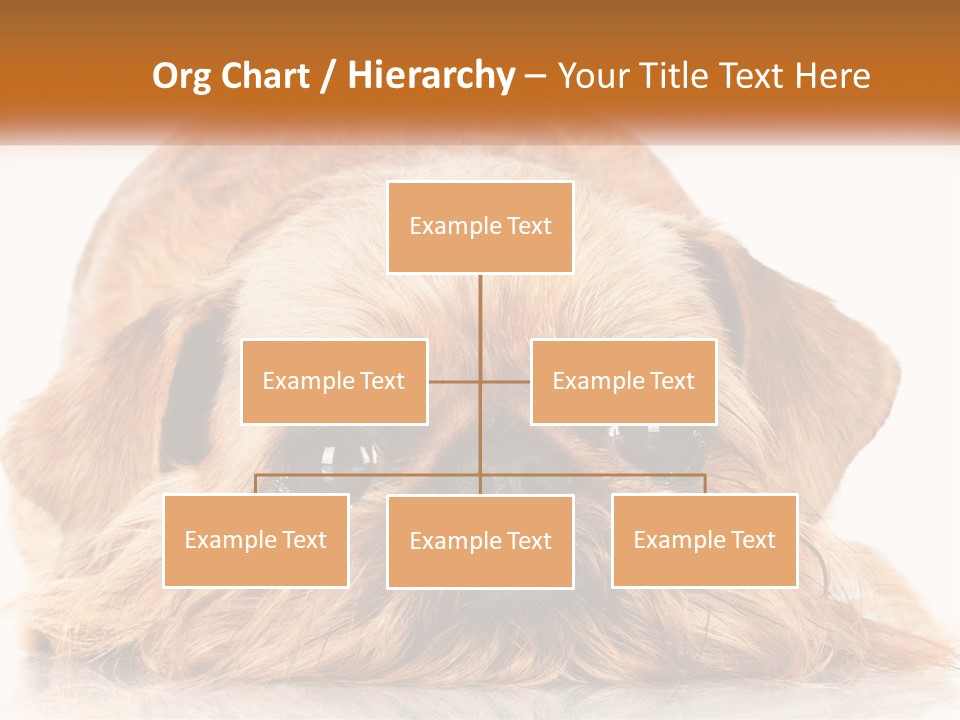 A Small Brown Dog Laying On Top Of A White Floor PowerPoint Template