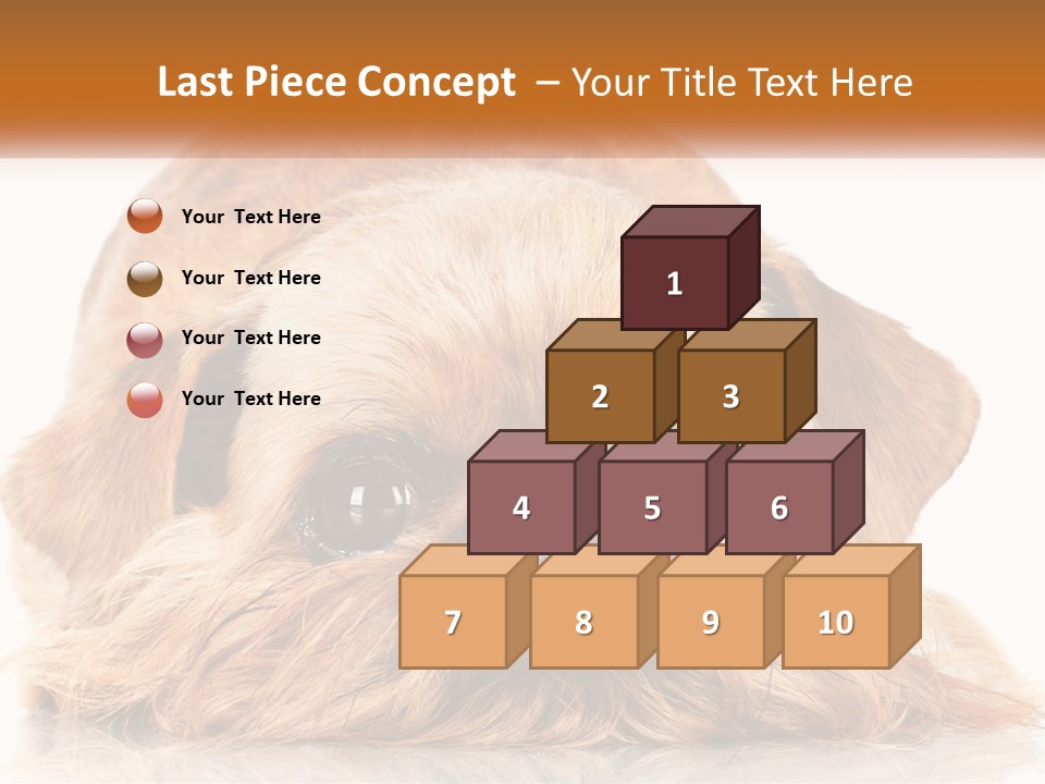A Small Brown Dog Laying On Top Of A White Floor PowerPoint Template