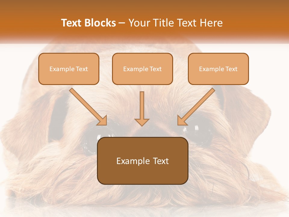 A Small Brown Dog Laying On Top Of A White Floor PowerPoint Template