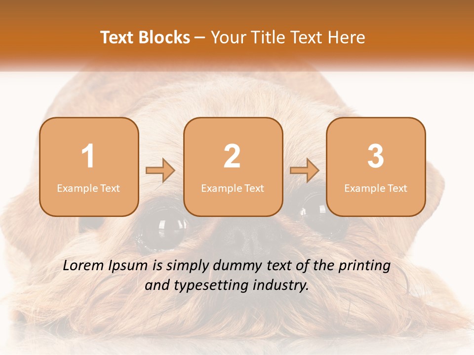A Small Brown Dog Laying On Top Of A White Floor PowerPoint Template