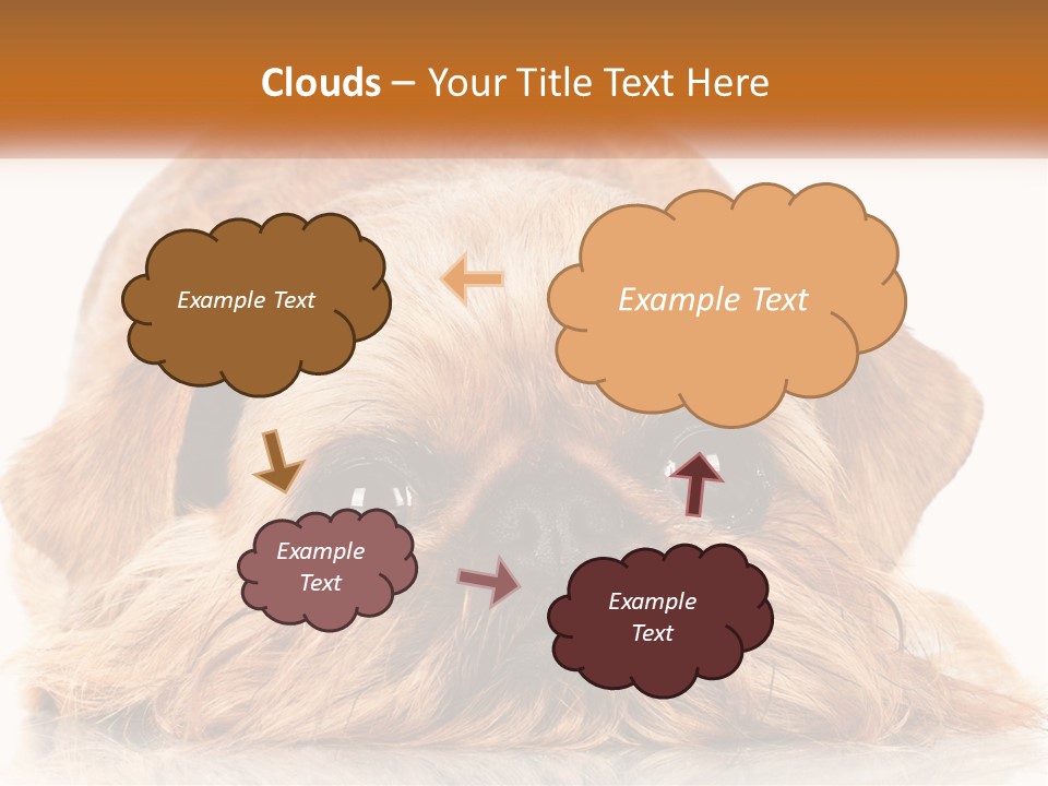 A Small Brown Dog Laying On Top Of A White Floor PowerPoint Template