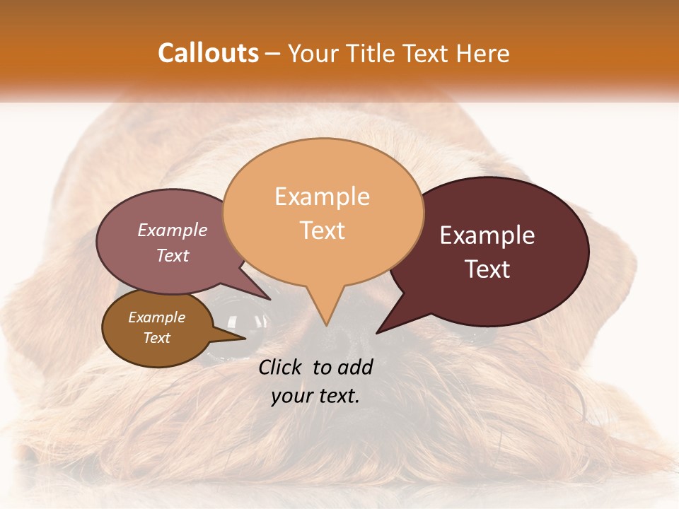 A Small Brown Dog Laying On Top Of A White Floor PowerPoint Template