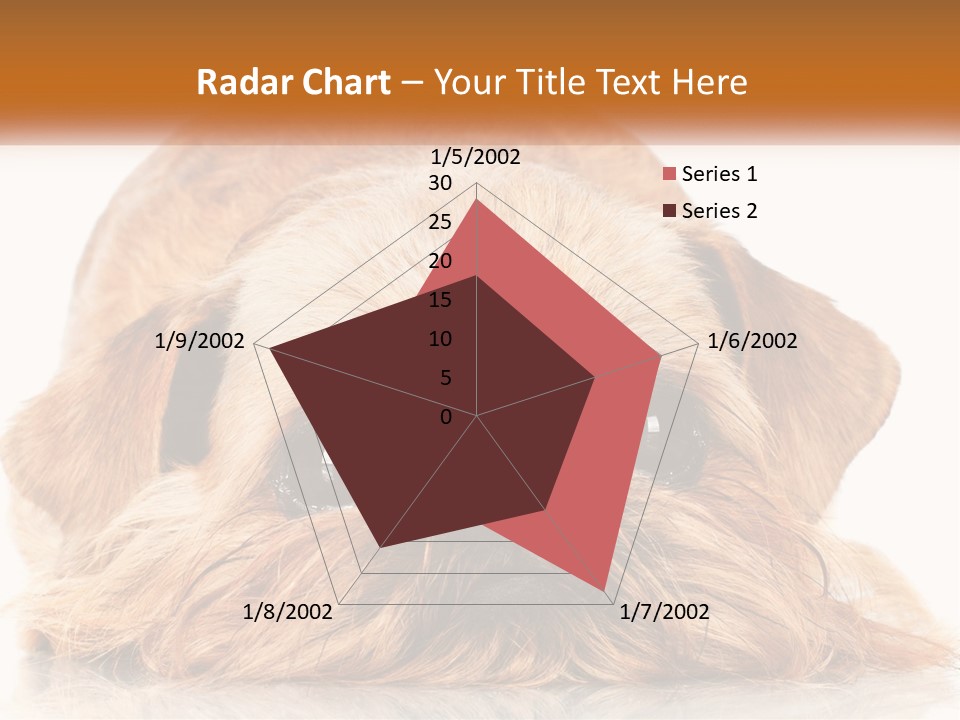 A Small Brown Dog Laying On Top Of A White Floor PowerPoint Template