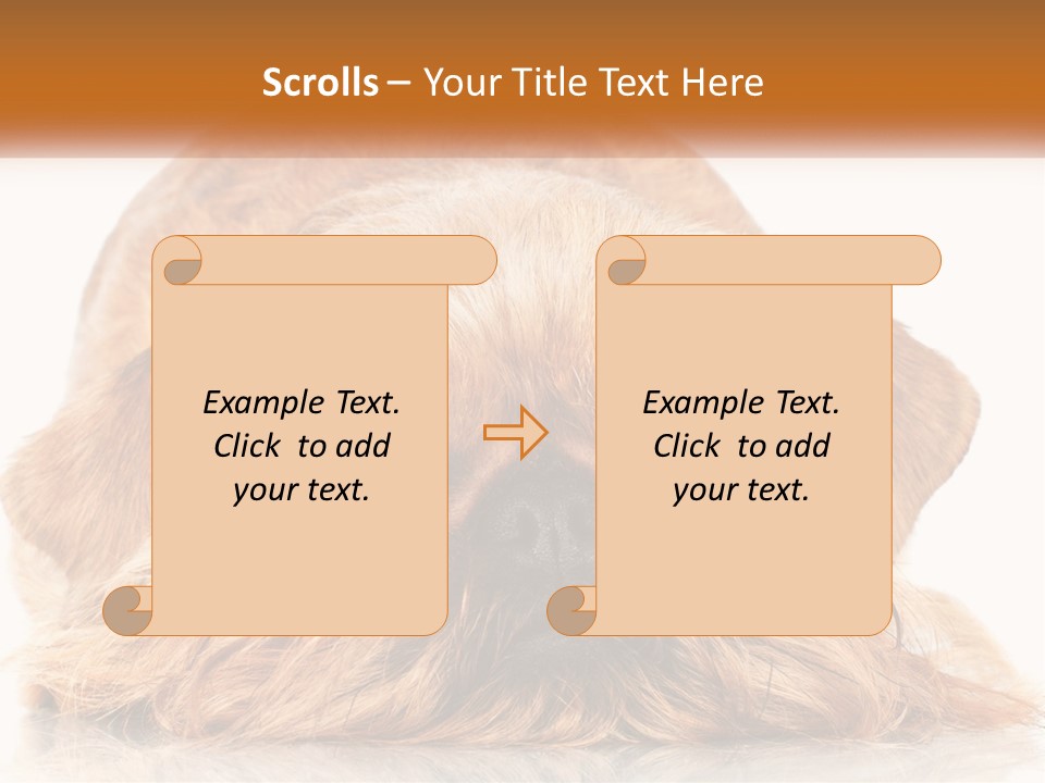 A Small Brown Dog Laying On Top Of A White Floor PowerPoint Template