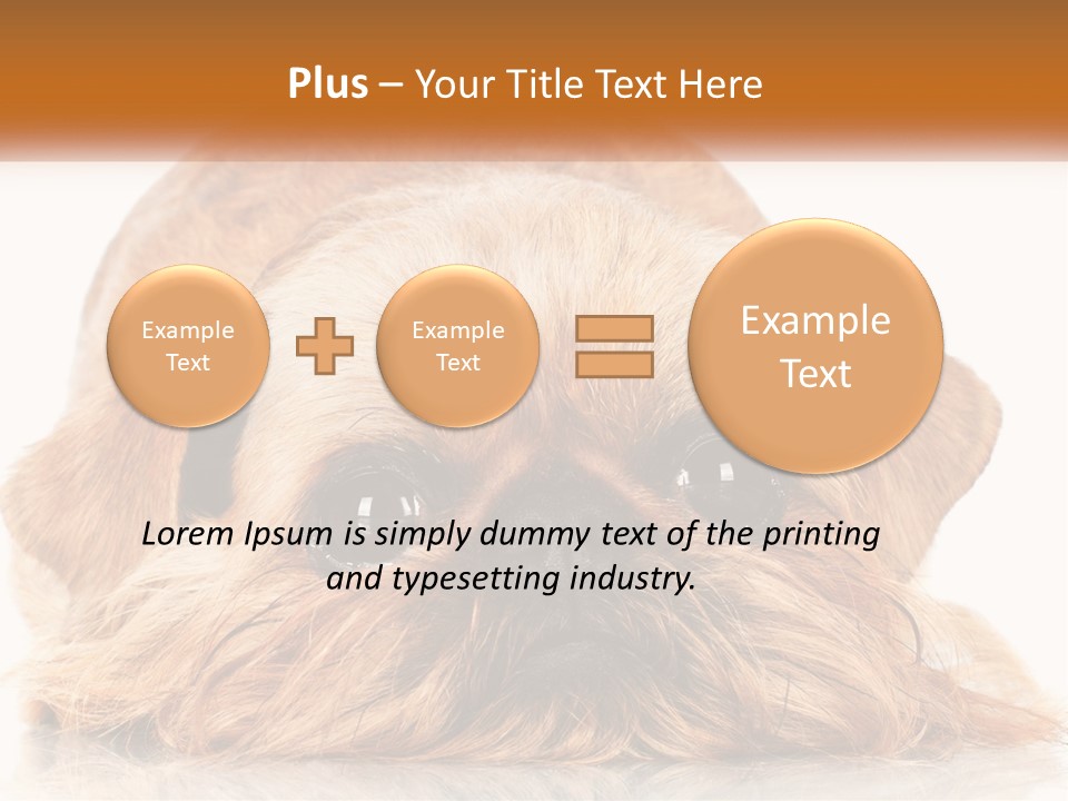 A Small Brown Dog Laying On Top Of A White Floor PowerPoint Template