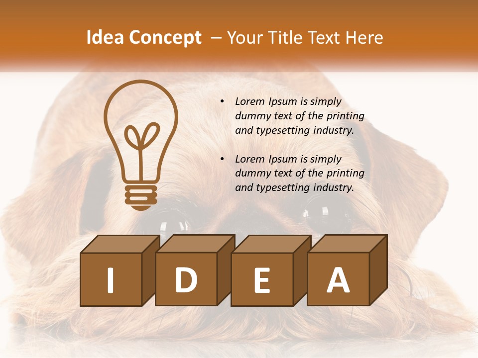 A Small Brown Dog Laying On Top Of A White Floor PowerPoint Template