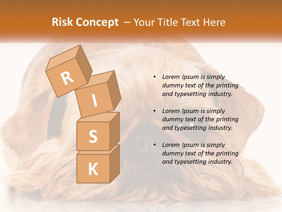 A Small Brown Dog Laying On Top Of A White Floor PowerPoint Template