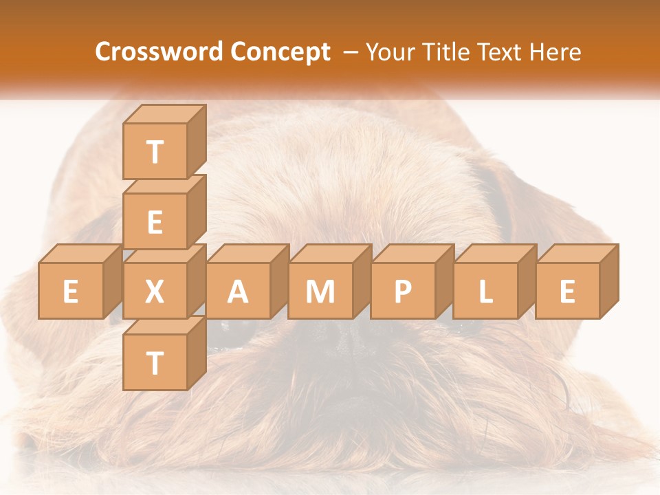 A Small Brown Dog Laying On Top Of A White Floor PowerPoint Template