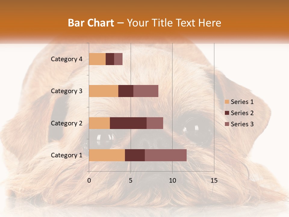 A Small Brown Dog Laying On Top Of A White Floor PowerPoint Template