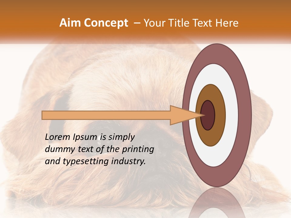 A Small Brown Dog Laying On Top Of A White Floor PowerPoint Template