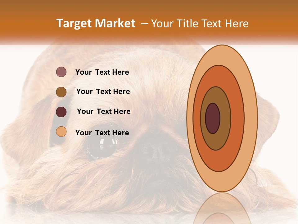 A Small Brown Dog Laying On Top Of A White Floor PowerPoint Template