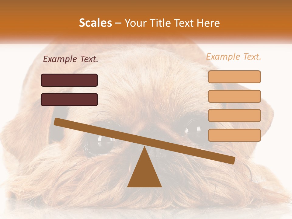 A Small Brown Dog Laying On Top Of A White Floor PowerPoint Template