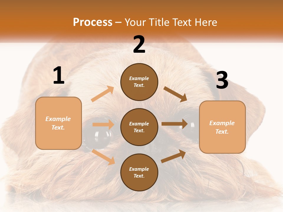 A Small Brown Dog Laying On Top Of A White Floor PowerPoint Template