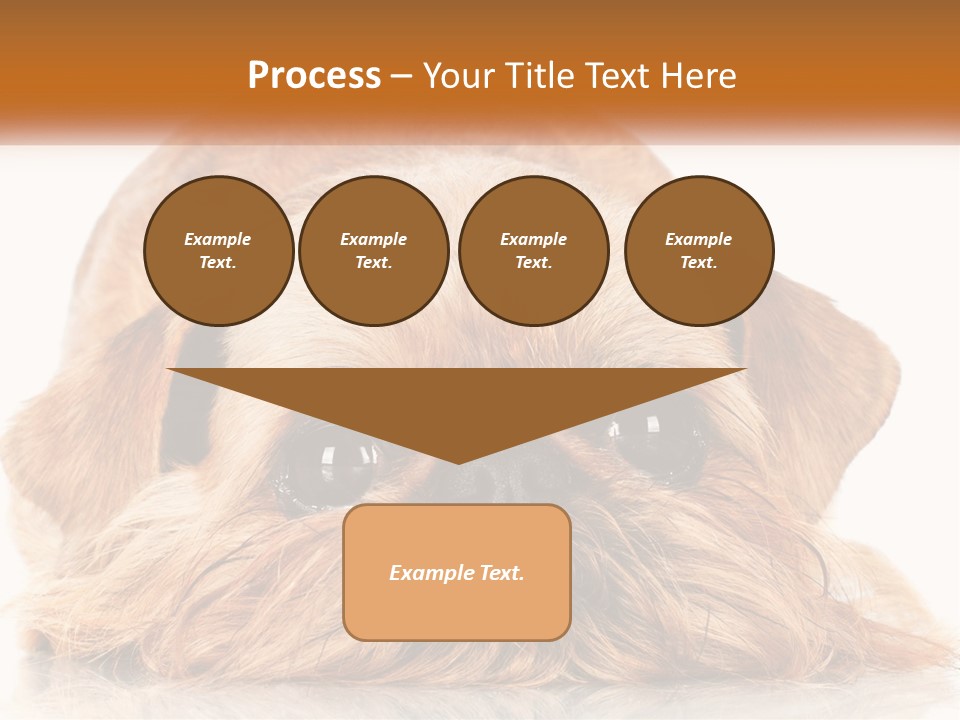 A Small Brown Dog Laying On Top Of A White Floor PowerPoint Template