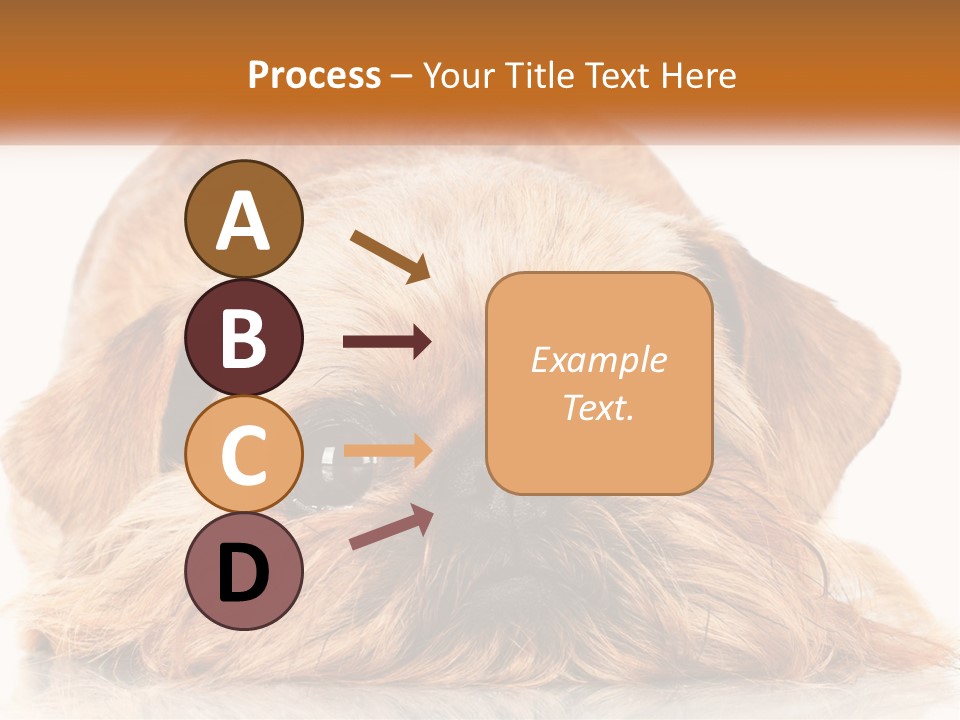 A Small Brown Dog Laying On Top Of A White Floor PowerPoint Template