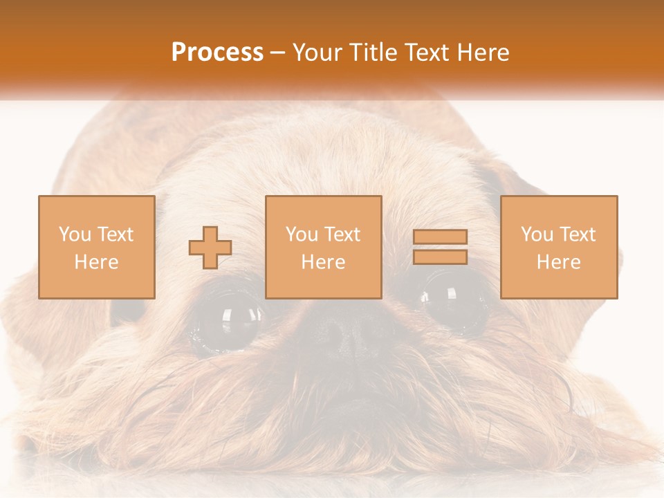 A Small Brown Dog Laying On Top Of A White Floor PowerPoint Template