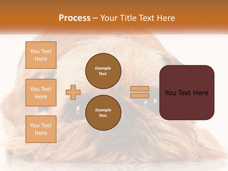 A Small Brown Dog Laying On Top Of A White Floor PowerPoint Template
