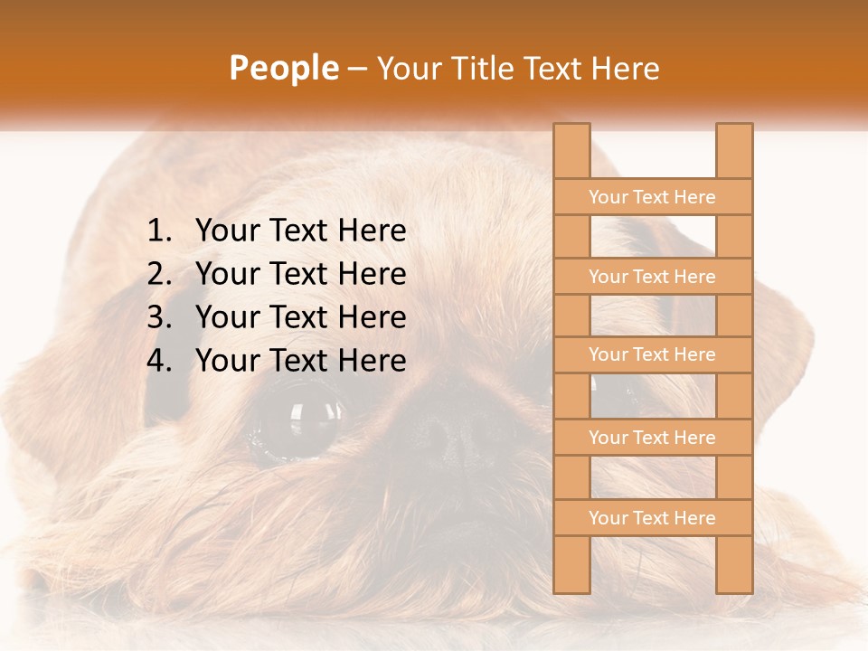 A Small Brown Dog Laying On Top Of A White Floor PowerPoint Template