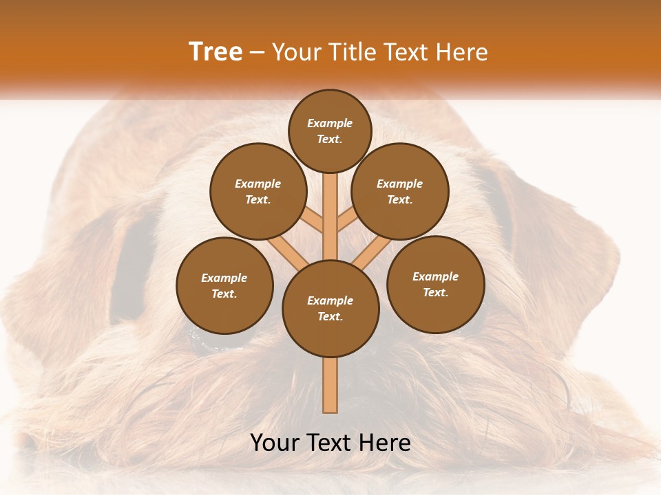 A Small Brown Dog Laying On Top Of A White Floor PowerPoint Template