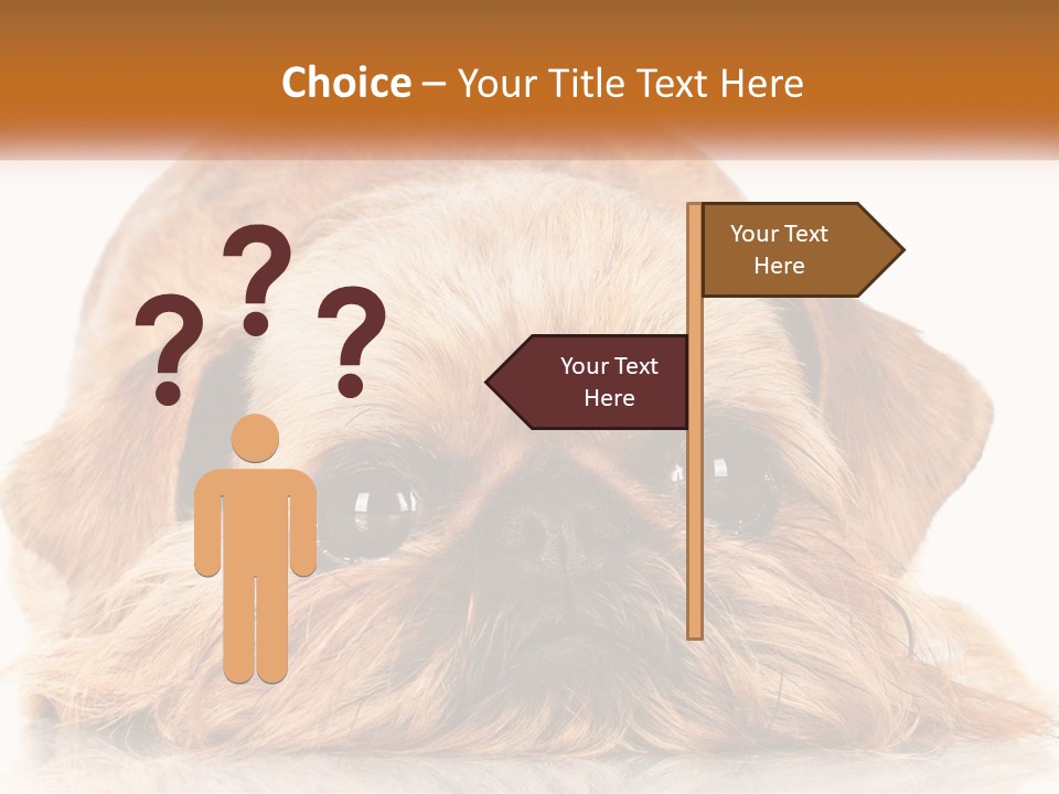 A Small Brown Dog Laying On Top Of A White Floor PowerPoint Template