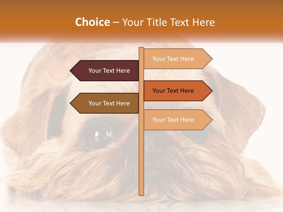 A Small Brown Dog Laying On Top Of A White Floor PowerPoint Template
