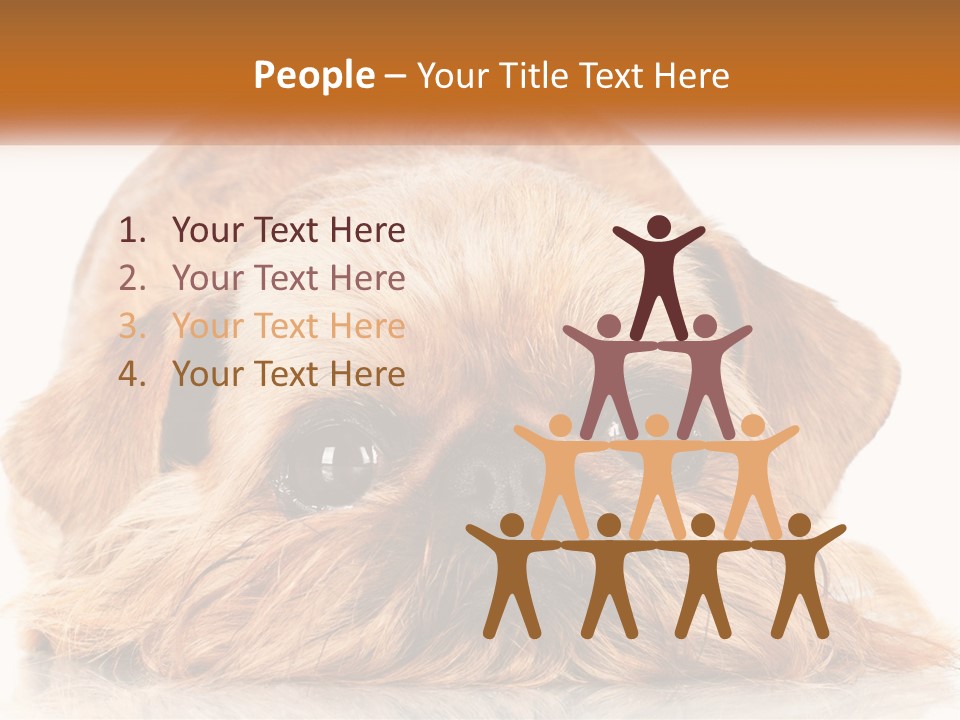 A Small Brown Dog Laying On Top Of A White Floor PowerPoint Template