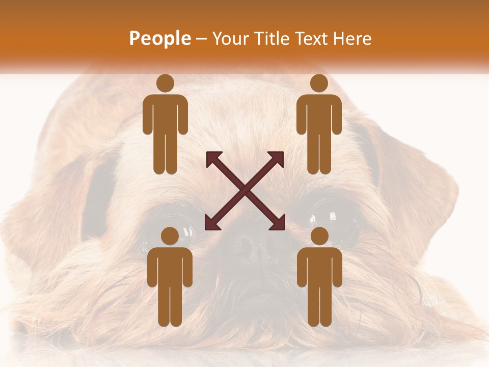 A Small Brown Dog Laying On Top Of A White Floor PowerPoint Template