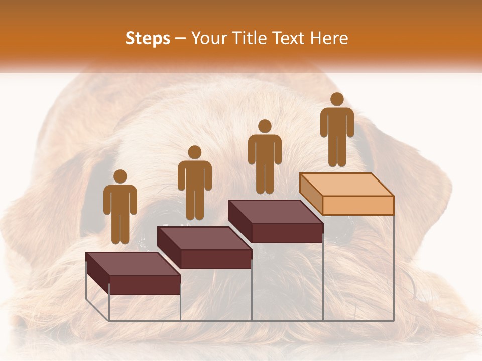 A Small Brown Dog Laying On Top Of A White Floor PowerPoint Template