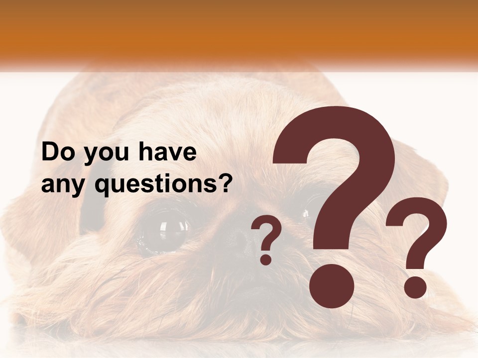 A Small Brown Dog Laying On Top Of A White Floor PowerPoint Template