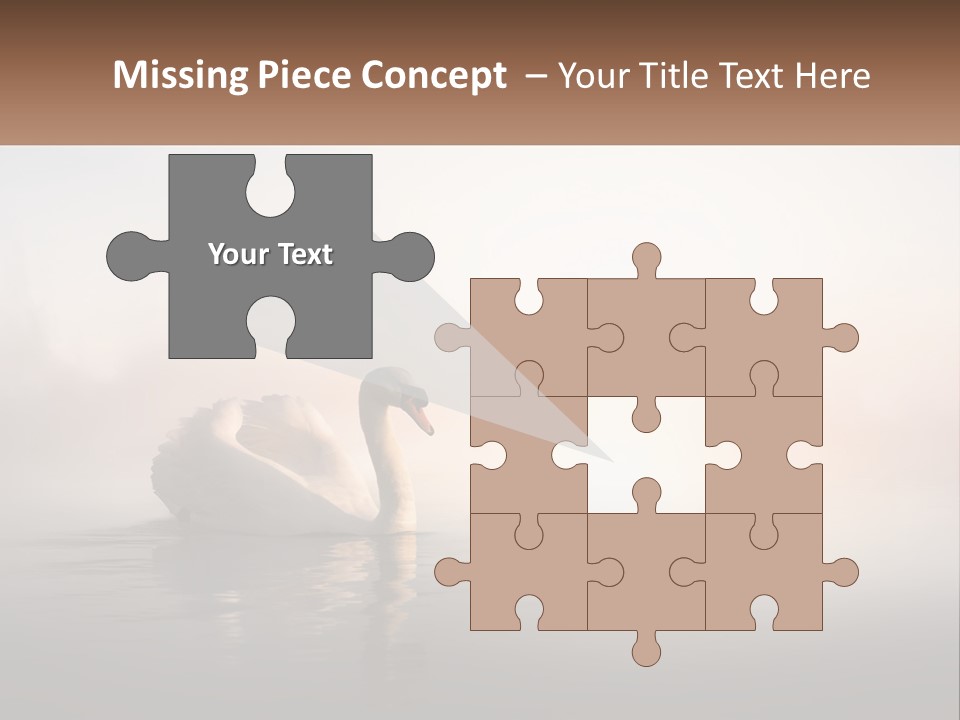 A White Swan Floating On Top Of A Body Of Water PowerPoint Template