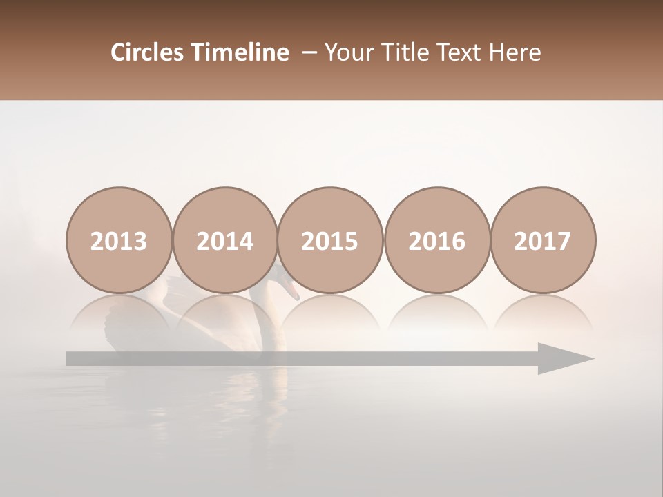 A White Swan Floating On Top Of A Body Of Water PowerPoint Template