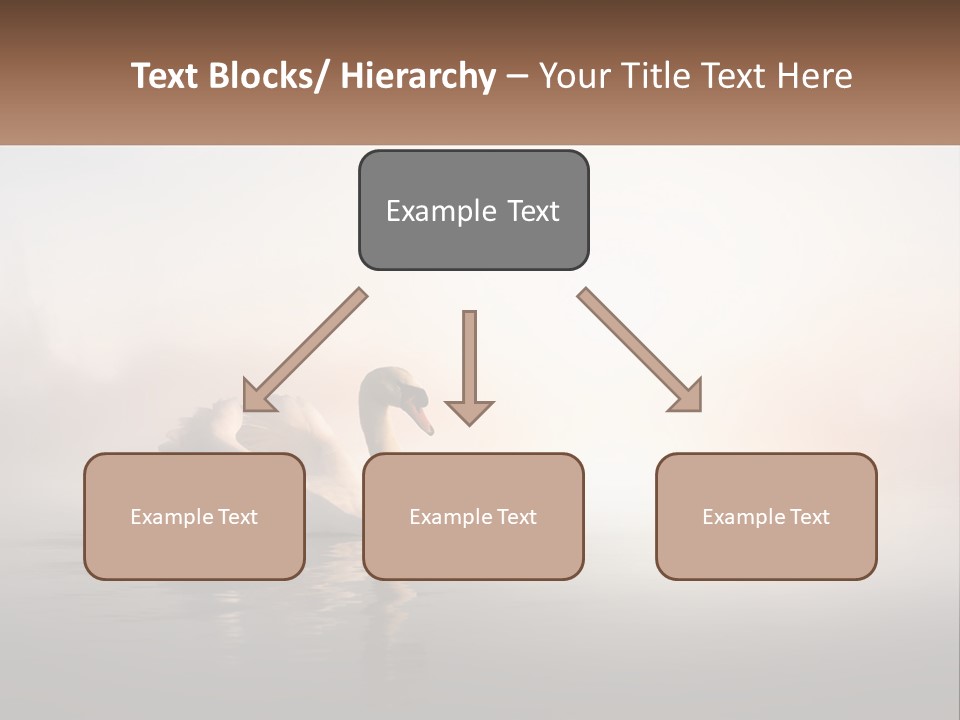 A White Swan Floating On Top Of A Body Of Water PowerPoint Template