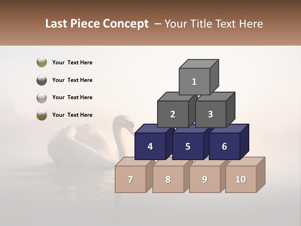 A White Swan Floating On Top Of A Body Of Water PowerPoint Template