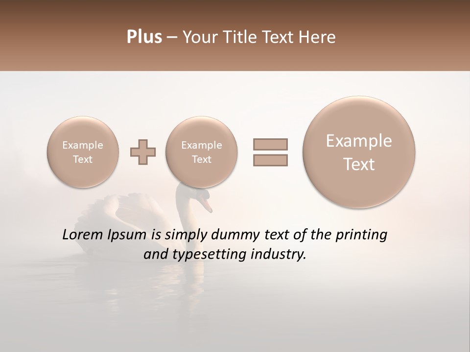 A White Swan Floating On Top Of A Body Of Water PowerPoint Template