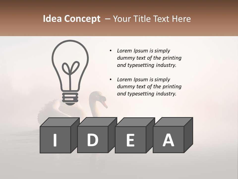 A White Swan Floating On Top Of A Body Of Water PowerPoint Template