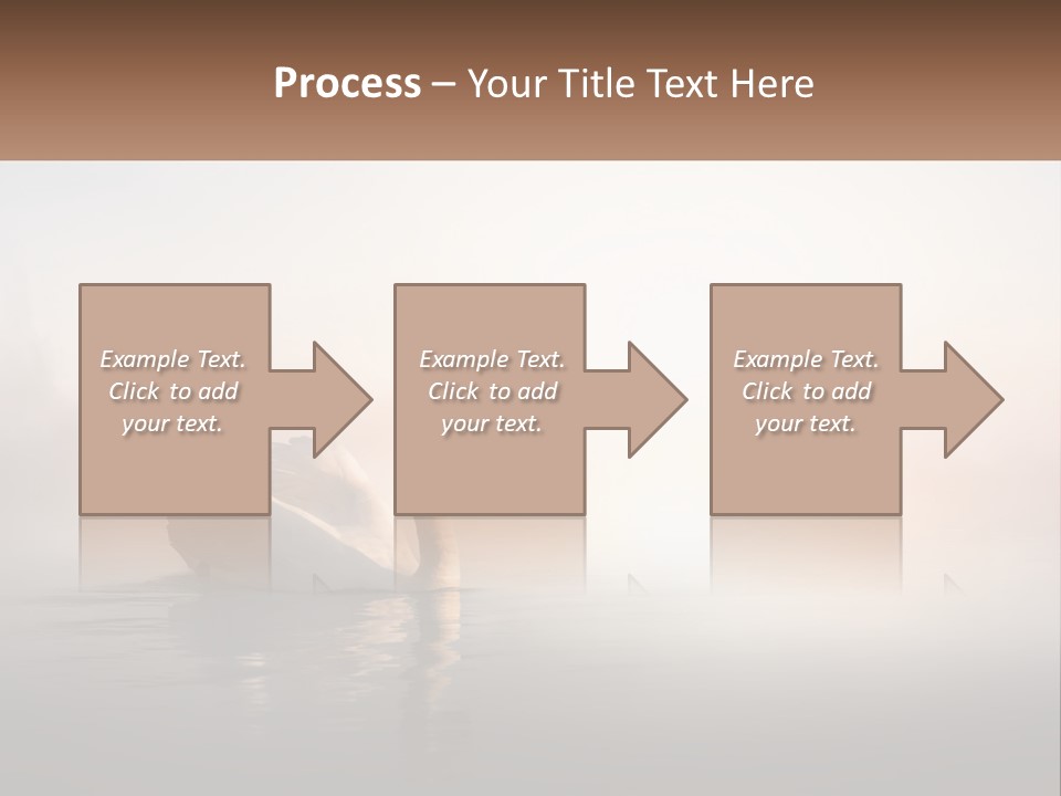 A White Swan Floating On Top Of A Body Of Water PowerPoint Template