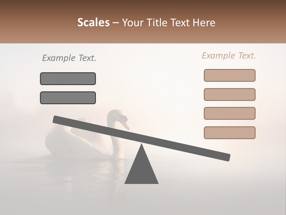 A White Swan Floating On Top Of A Body Of Water PowerPoint Template