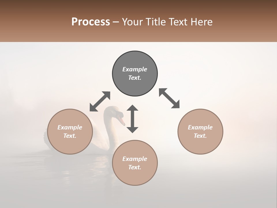 A White Swan Floating On Top Of A Body Of Water PowerPoint Template