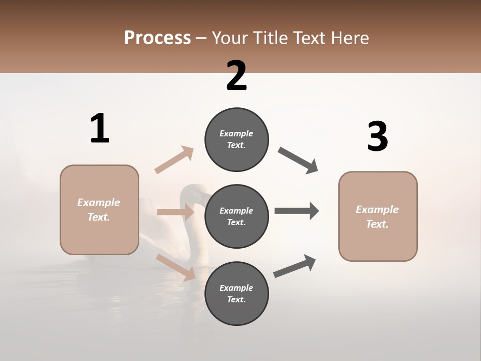 A White Swan Floating On Top Of A Body Of Water PowerPoint Template