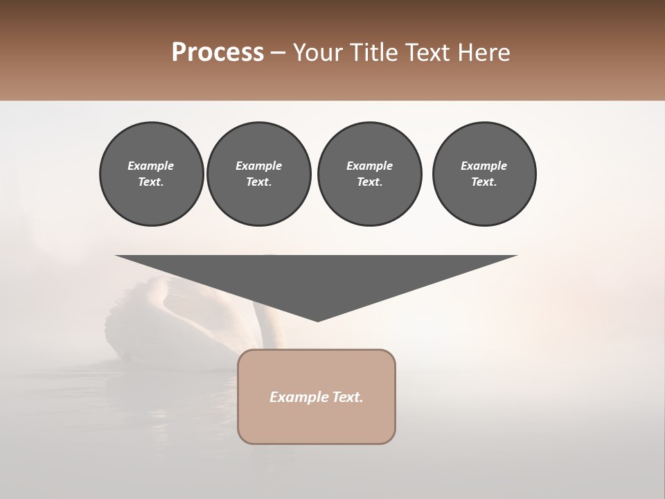 A White Swan Floating On Top Of A Body Of Water PowerPoint Template