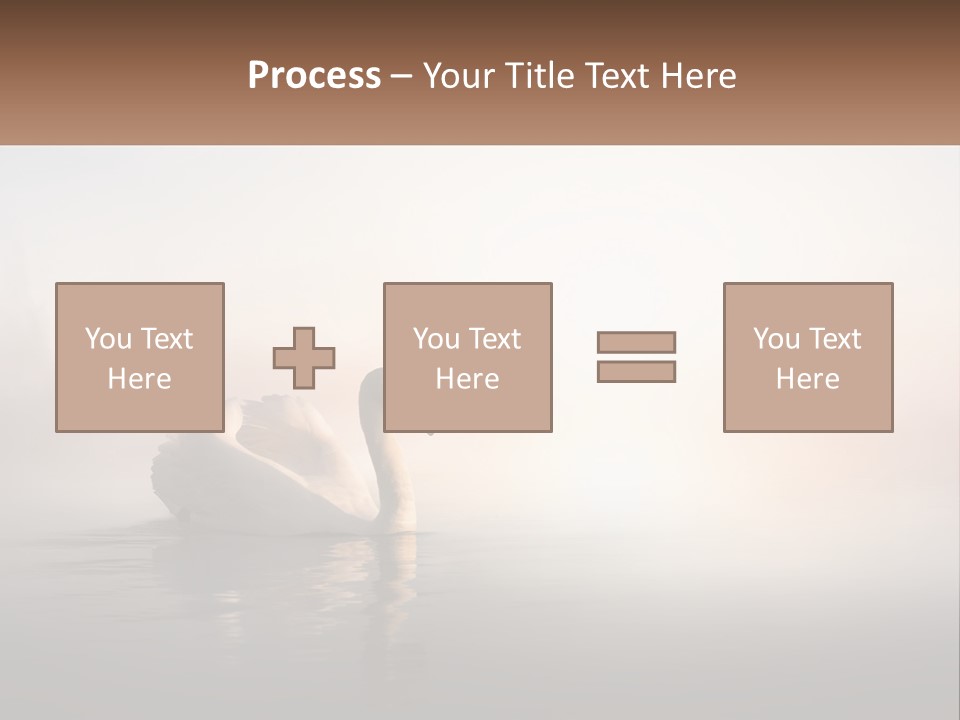 A White Swan Floating On Top Of A Body Of Water PowerPoint Template