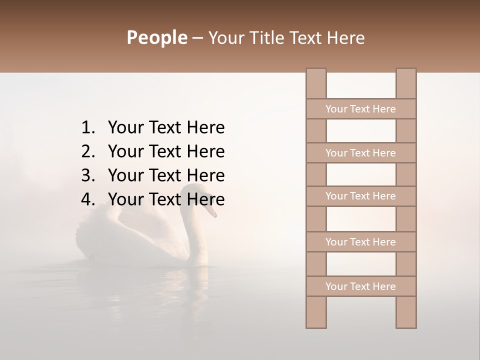 A White Swan Floating On Top Of A Body Of Water PowerPoint Template
