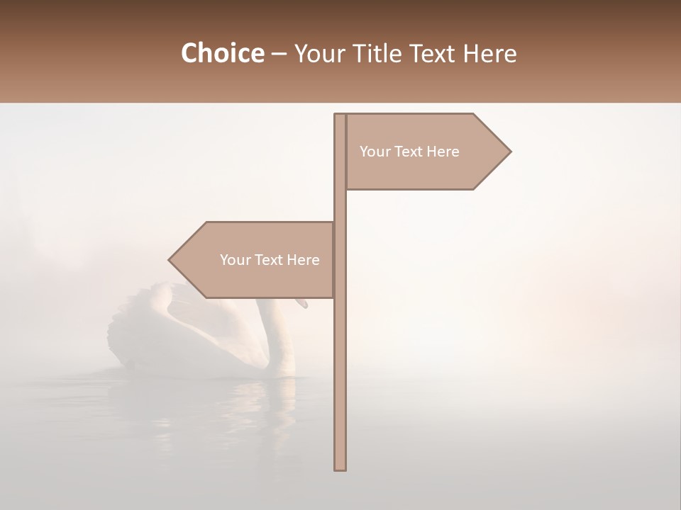 A White Swan Floating On Top Of A Body Of Water PowerPoint Template