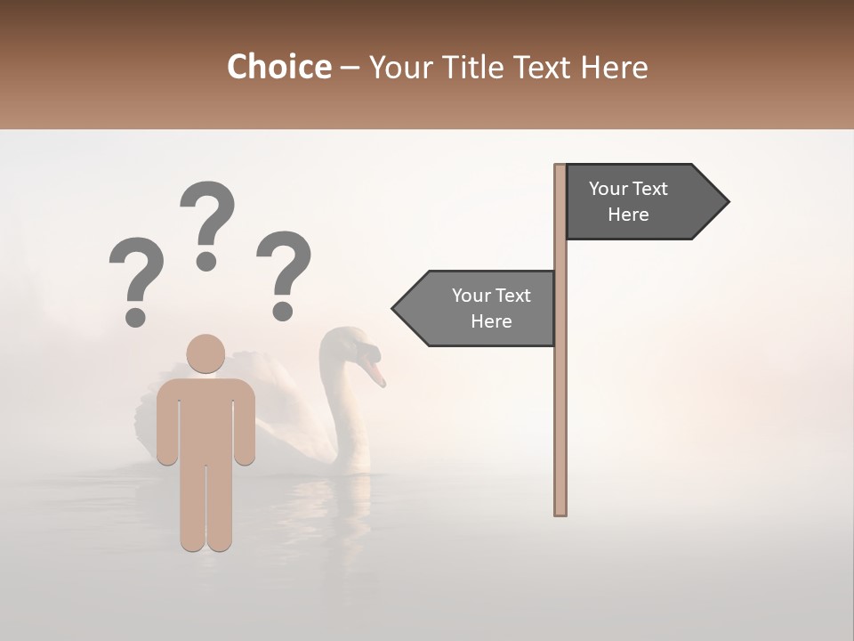 A White Swan Floating On Top Of A Body Of Water PowerPoint Template