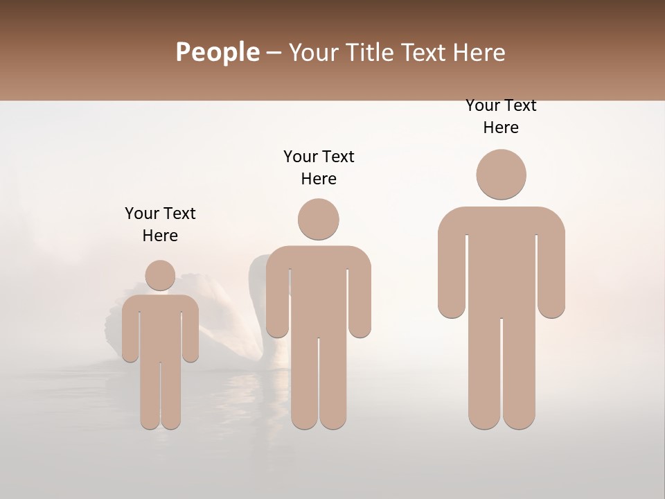 A White Swan Floating On Top Of A Body Of Water PowerPoint Template